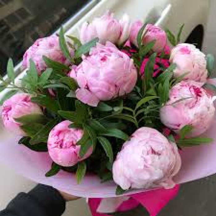 Пион древовидный в Абае