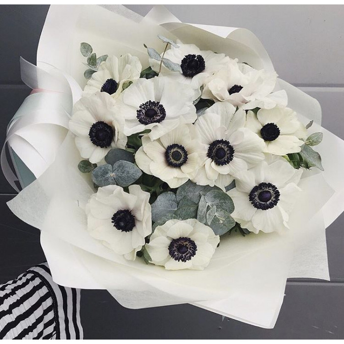 Анемоны в Абае