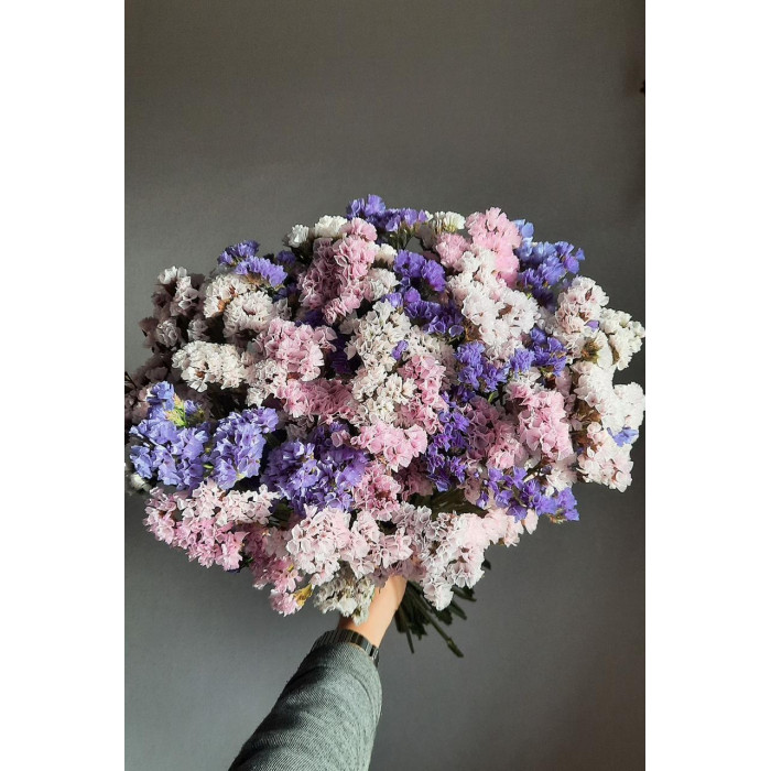 Статица (Лимониум) в Абае