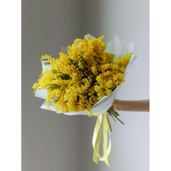 Мимоза в Абае