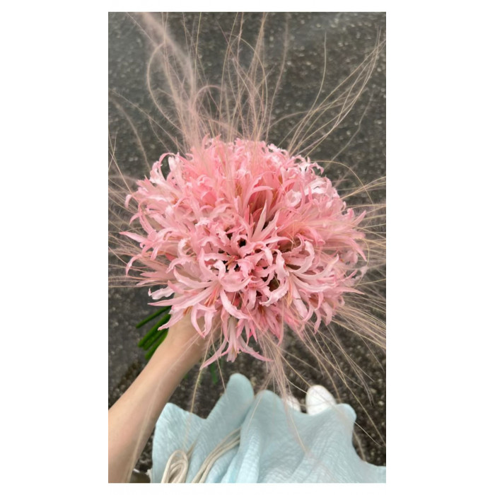 Нерине в Абае