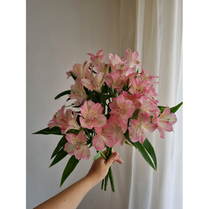 Альпиния в Абае