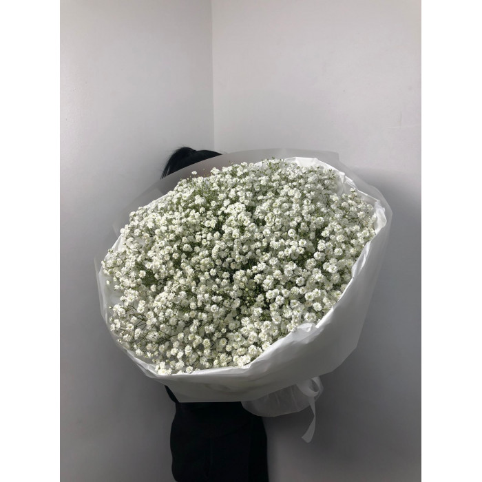 Гипсофила классическая в Абае