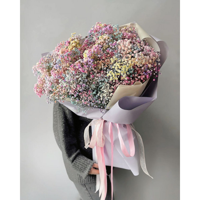 Гипсофила цветная в Абае