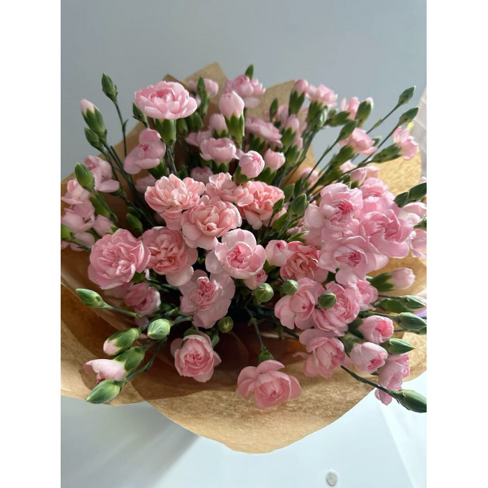 Кустовые гвоздики в Абае