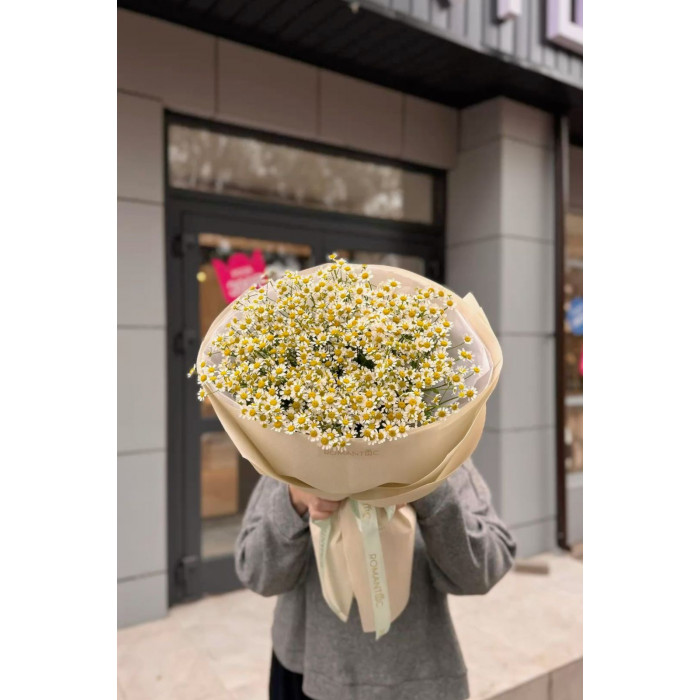 Танацетум в Абае