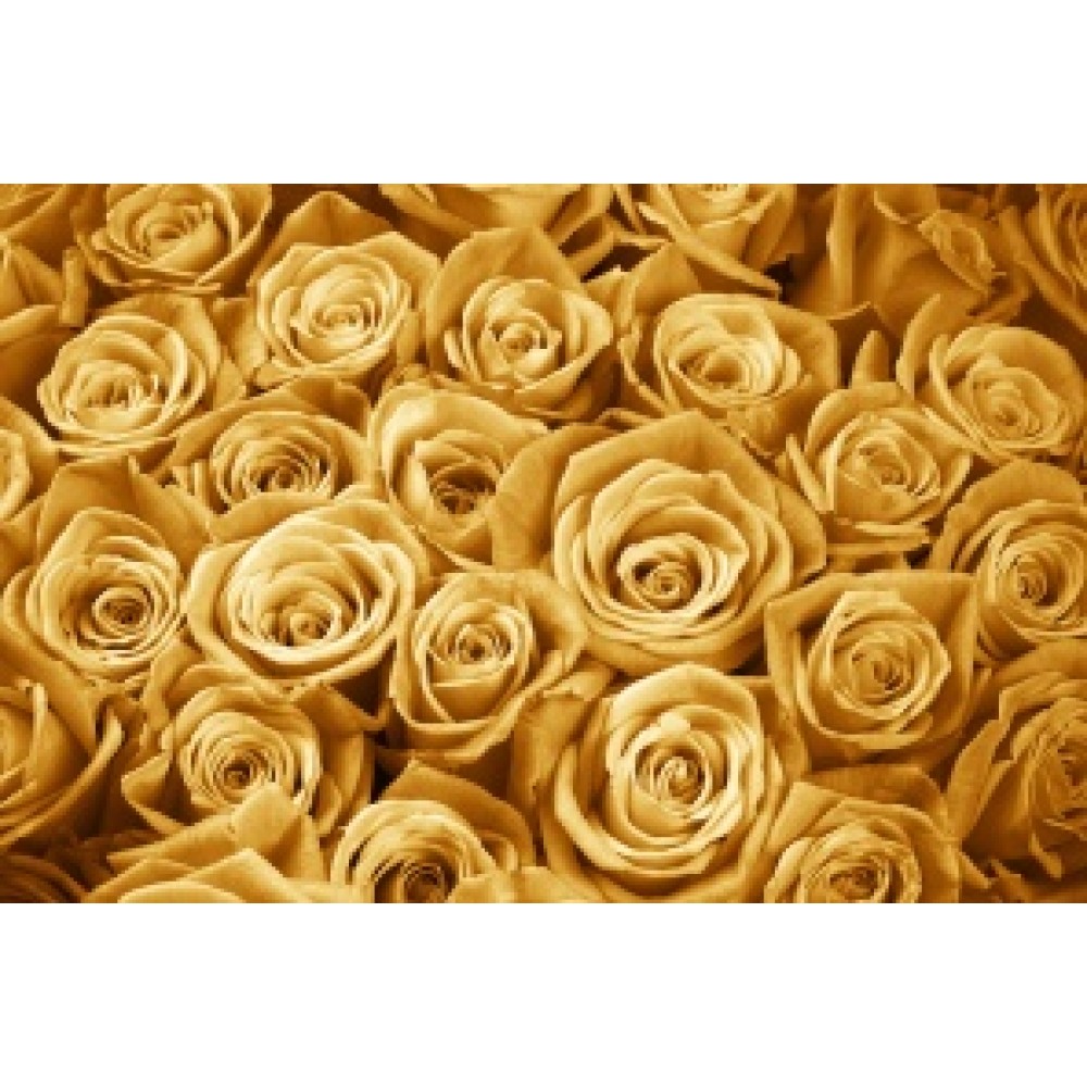 Золотые розы 101 шт