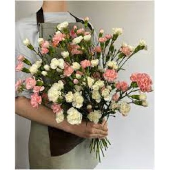  Bouquet of carnations (25 pcs.)